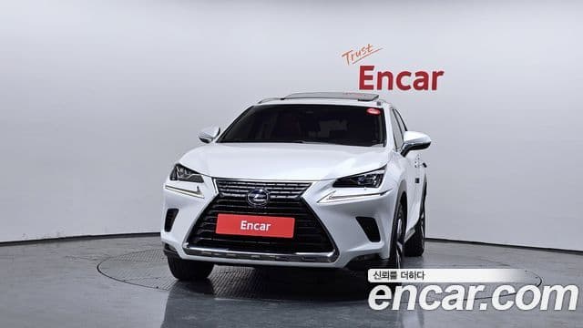 Lexus NX300h 2019 — Şəkil 3/20