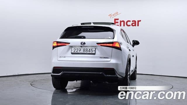 Lexus NX300h 2019 — Şəkil 4/20