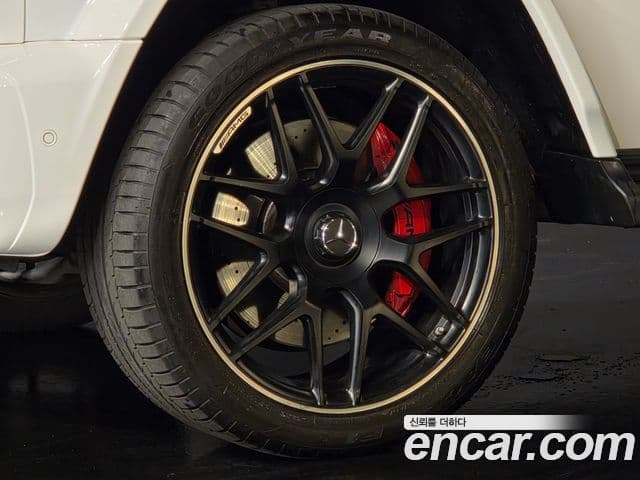 Mercedes-Benz G-Class 2021 — Photo 5/20