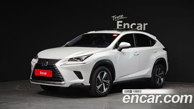 Lexus NX300h 2019 — Şəkil 18/20