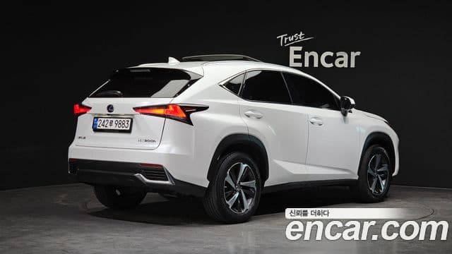 Lexus NX300h 2019 — Şəkil 15/20