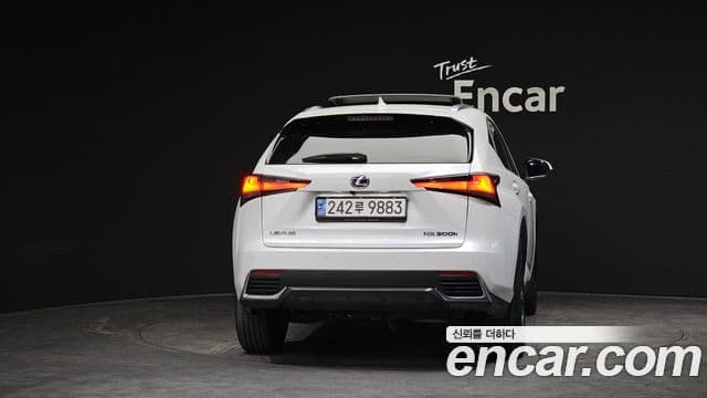 Lexus NX300h 2019 — Şəkil 7/20