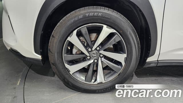 Lexus NX300h 2019 — Şəkil 4/20