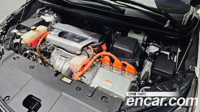 Lexus NX300h 2019 — Şəkil 5/20