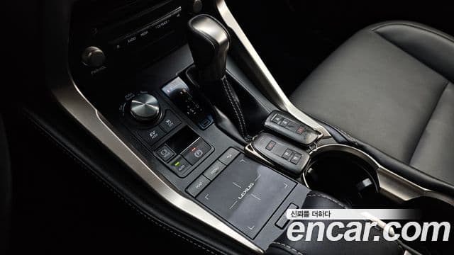 Lexus NX300h 2019 — Şəkil 13/20