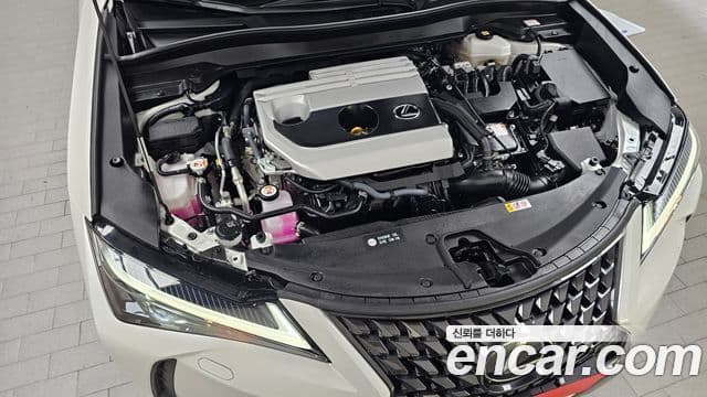 Lexus UX250h 2023 — Фото 6/20