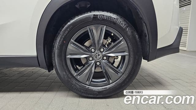 Lexus UX250h 2023 — Photo 29/30
