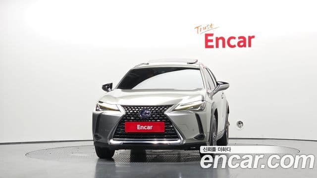 Lexus UX250h 2019 — Photo 12/20