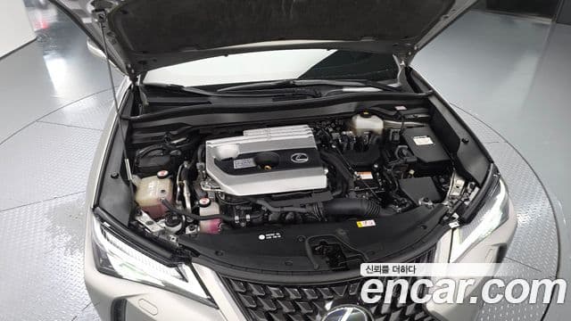 Lexus UX250h 2019 — Photo 19/20
