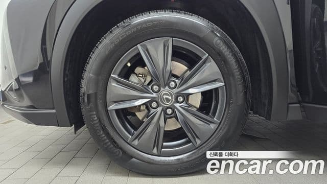 Lexus UX250h 2023 — Фото 5/20