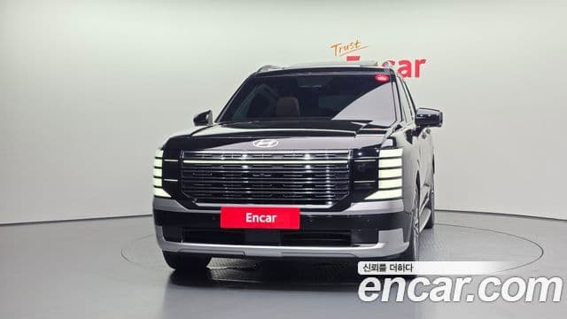 Hyundai Palisade 2025 — ფოტო 18/20