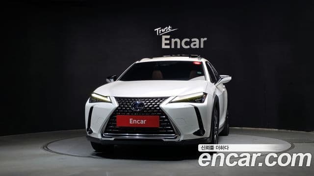 Lexus UX250h 2019 — ფოტო 23/32