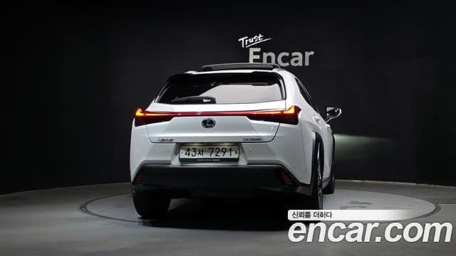Lexus UX250h 2019 — ფოტო 11/32