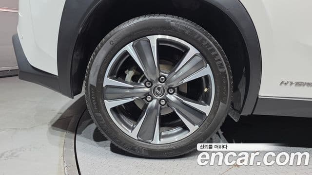 Lexus UX250h 2019 — ფოტო 6/32