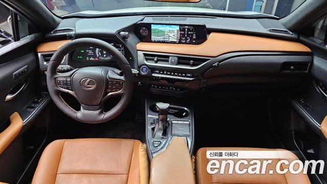 Lexus UX250h 2019 — ფოტო 31/32