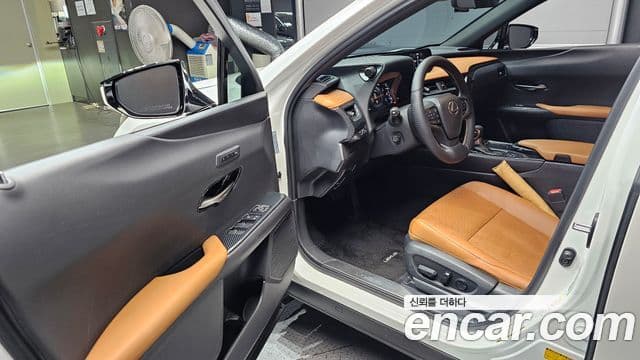 Lexus UX250h 2019 — ფოტო 13/32