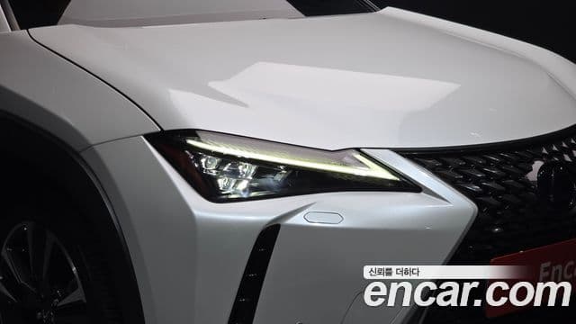 Lexus UX250h 2019 — ფოტო 24/32