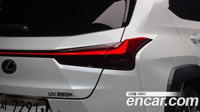 Lexus UX250h 2019 — ფოტო 25/32