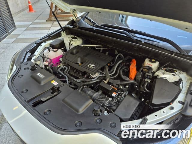 Lexus NX350h 2025 — Şəkil 10/20