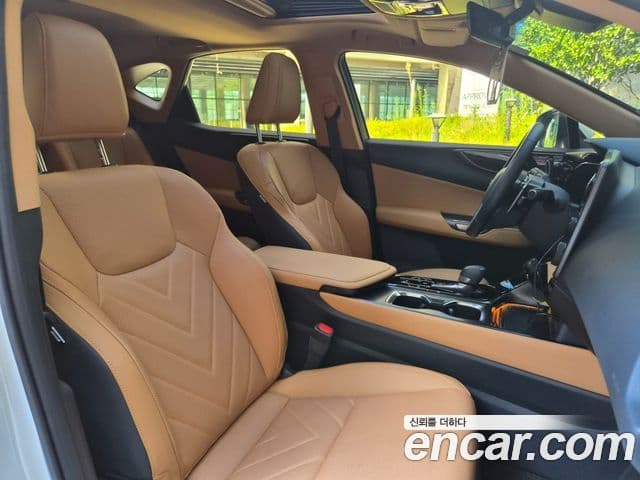 Lexus NX350h 2025 — Şəkil 12/20