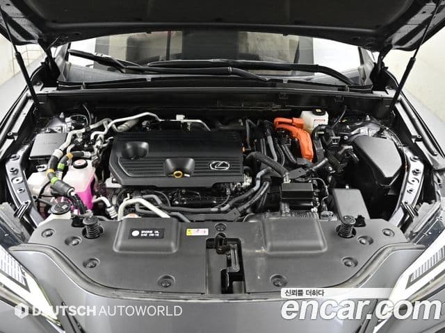 Lexus NX450h+ 2023 — Фото 5/20