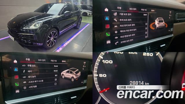 Porsche Cayenne 2023 — ფოტო 4/20