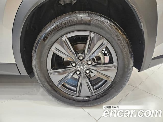 Lexus UX300h 2025 — Фото 4/15