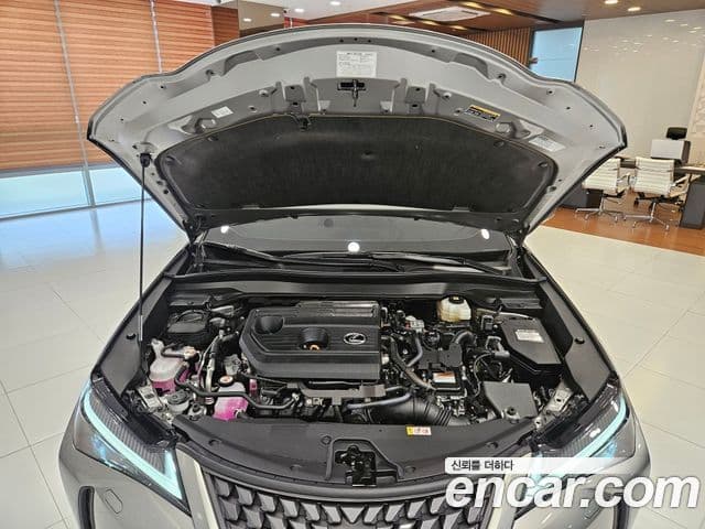 Lexus UX300h 2025 — Фото 6/15