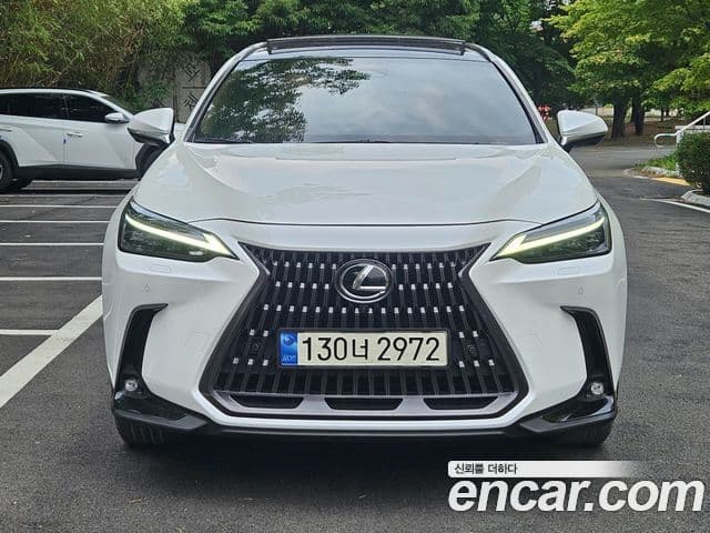 Lexus NX350h 2023 — Photo 3/20