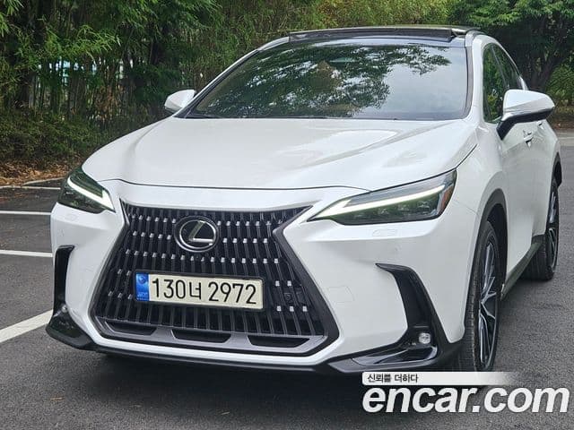 Lexus NX350h 2023 — Photo 16/20
