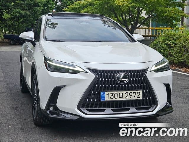 Lexus NX350h 2023 — Photo 17/20