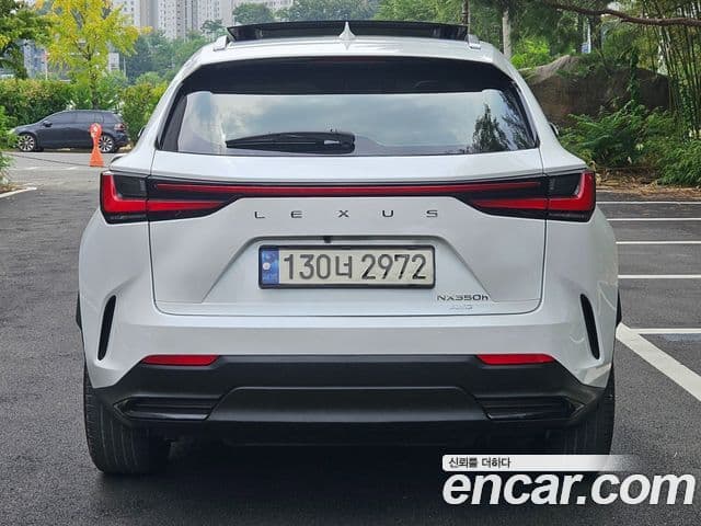 Lexus NX350h 2023 — Photo 7/20