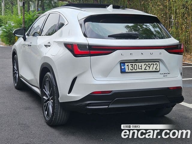 Lexus NX350h 2023 — Photo 13/20