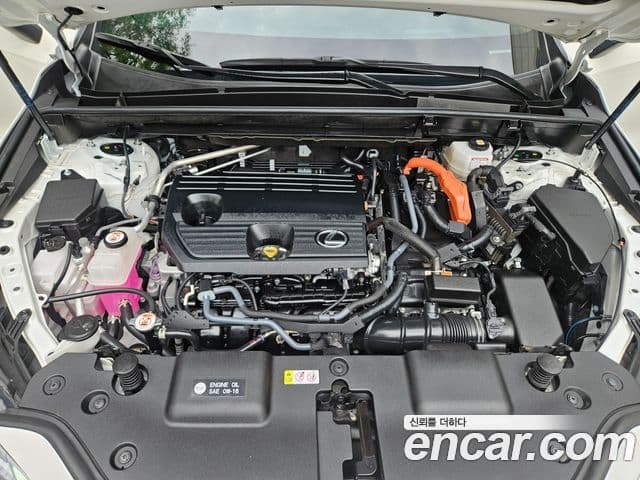 Lexus NX350h 2023 — Photo 8/20