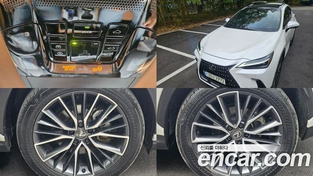 Lexus NX350h 2023 — Photo 10/20