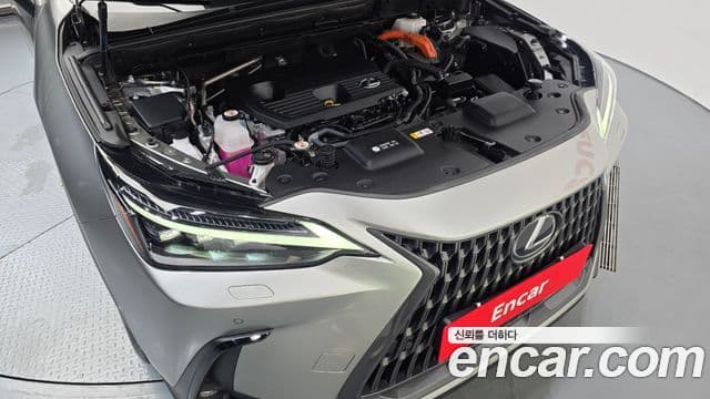 Lexus NX350h 2023 — ფოტო 26/32