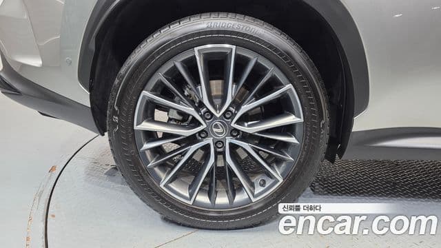 Lexus NX350h 2023 — ფოტო 13/32