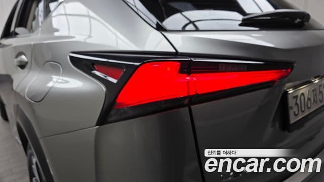 Lexus NX300h 2021 — ფოტო 20/32