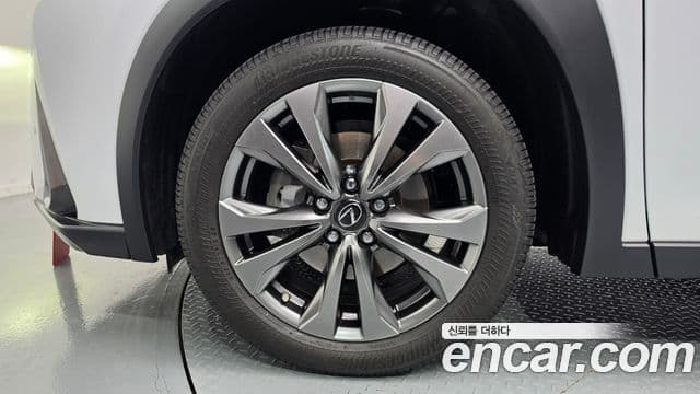 Lexus UX250h 2024 — Фото 5/20