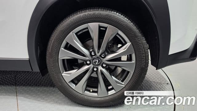 Lexus UX250h 2024 — Şəkil 6/30