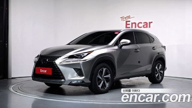 Lexus NX300h 2020 — Photo 18/30