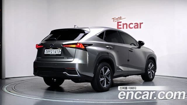 Lexus NX300h 2020 — Photo 14/30