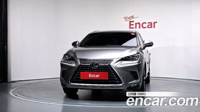 Lexus NX300h 2020 — Photo 21/30