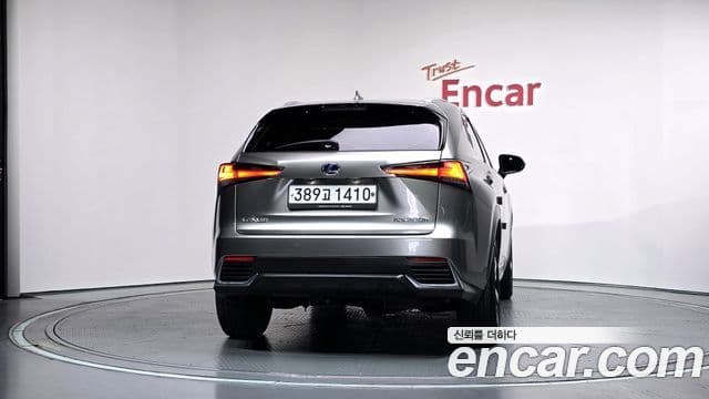 Lexus NX300h 2020 — Photo 7/30