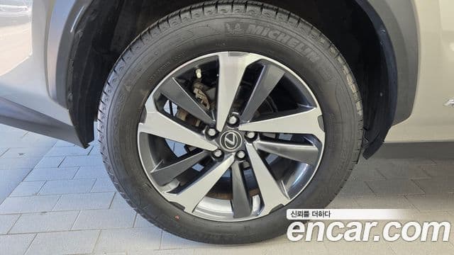 Lexus NX300h 2020 — Photo 23/30