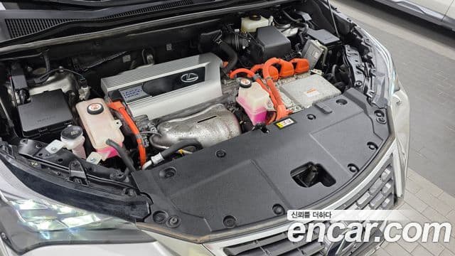 Lexus NX300h 2020 — Photo 5/30