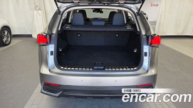Lexus NX300h 2020 — Photo 13/30