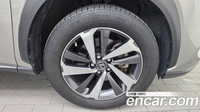 Lexus NX300h 2020 — Photo 2/30