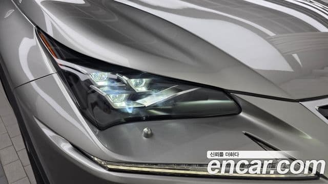 Lexus NX300h 2020 — Photo 15/30