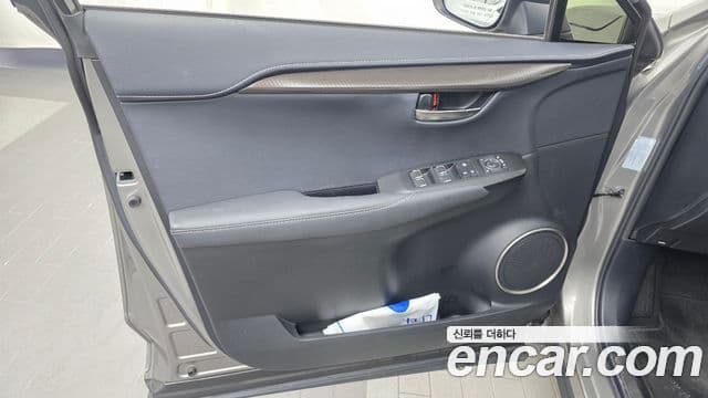 Lexus NX300h 2020 — Photo 8/30